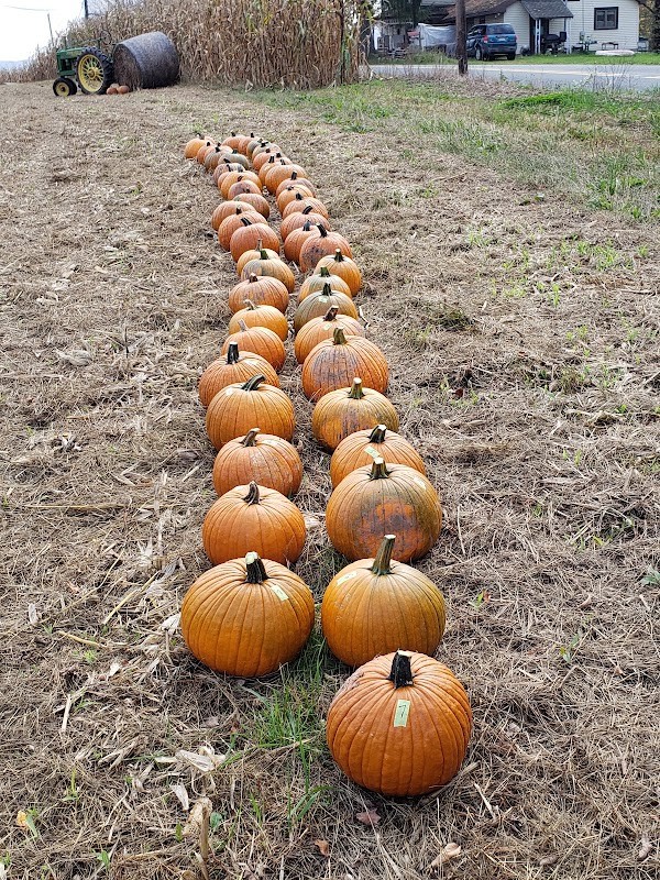 Matt's Farm Market