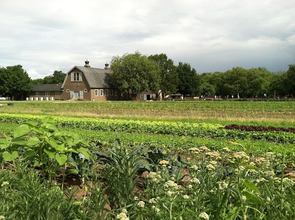 Queens County Farm Museum