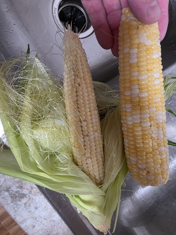 Knight's Sweet Corn