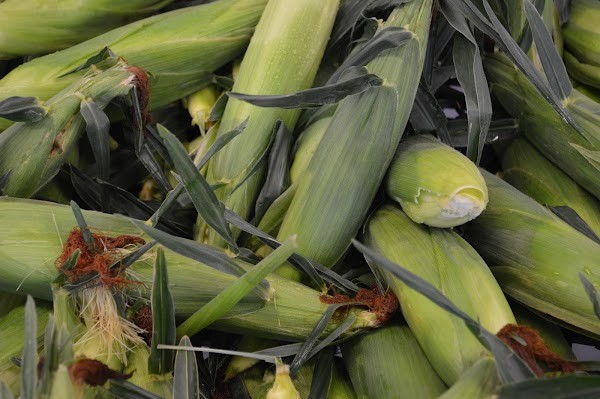 Naber Produce Farm, LLC