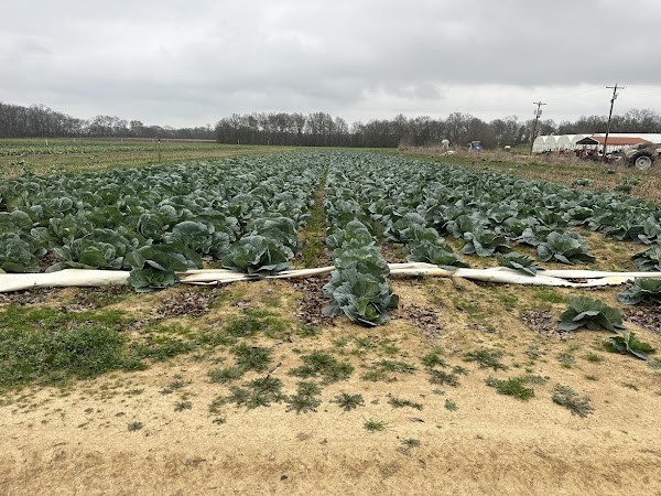 Howell Family Farms, Inc.