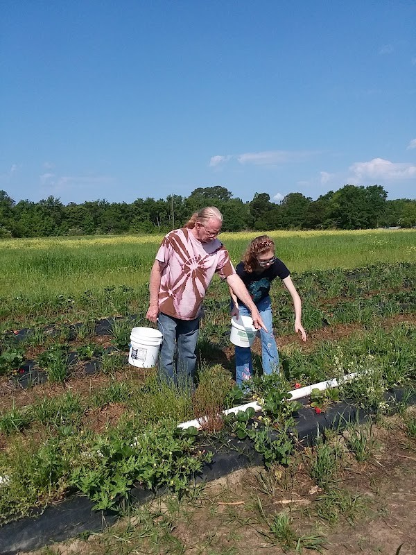 Indigo Farms Produce