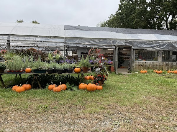 Applefield Farm Stand