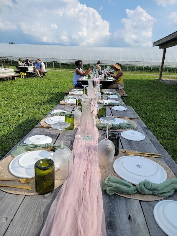 Green Things Farm Collective