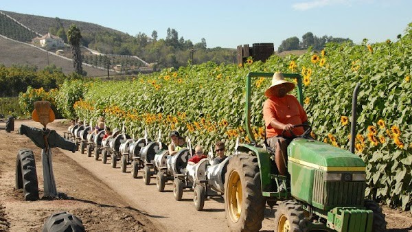 Underwood Family Farms