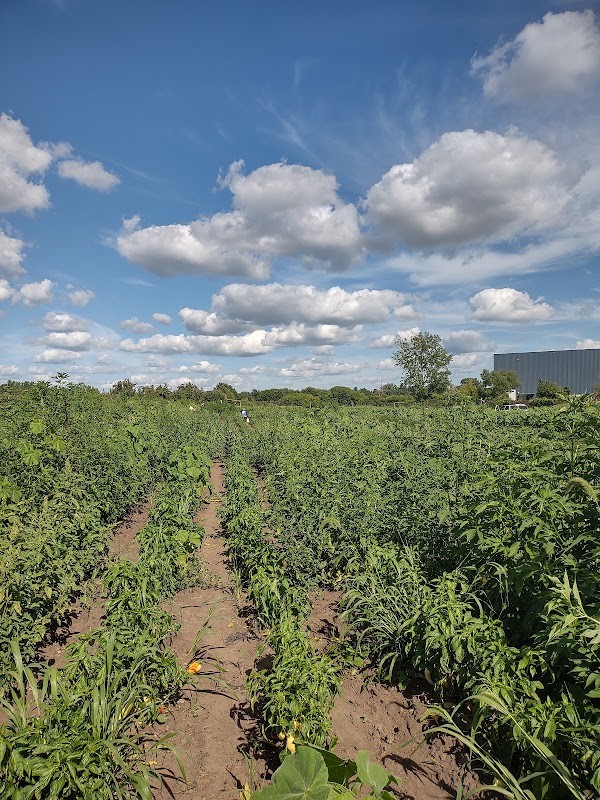 Hoffman Produce Farms