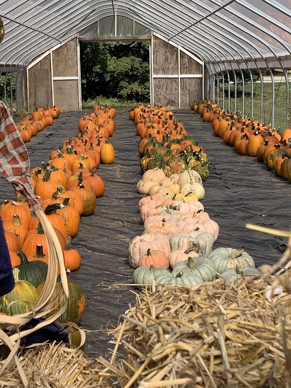 Mayneland Farm