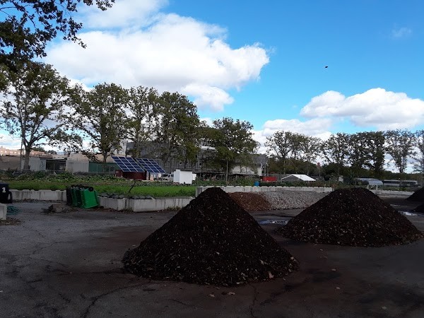 Red Hook Farms - Columbia Street Farm