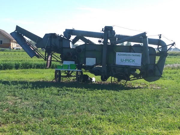 Adamson Farms U-Pick