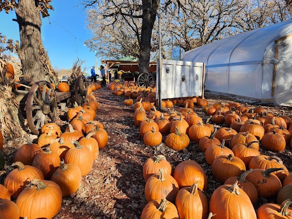 Doehling's Farm Market