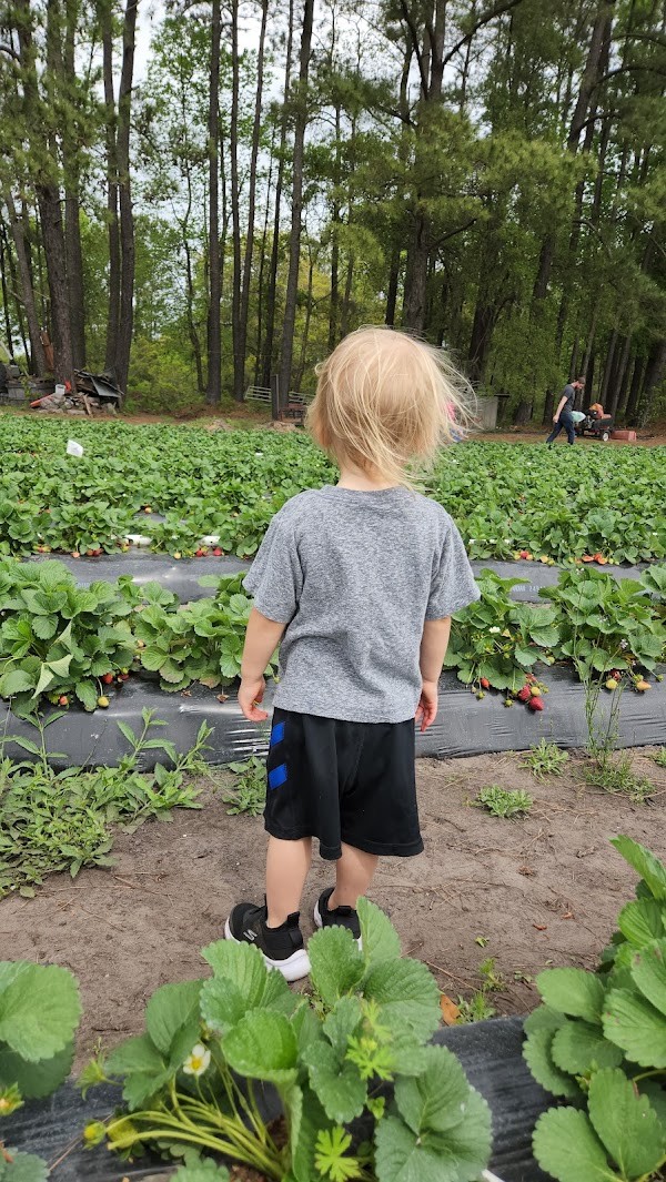 Ambrose Family Farm