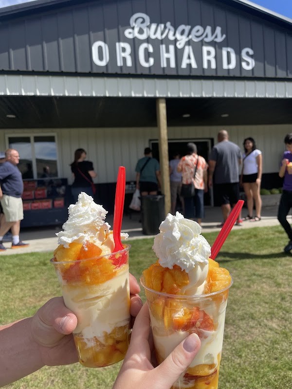 Burgess Orchards