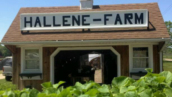 Hallene Farm