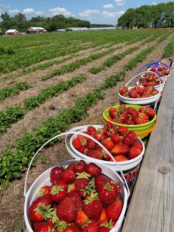 Otter Berry Farm
