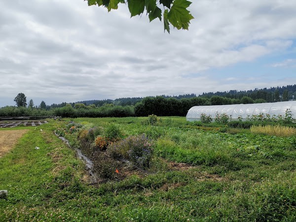 Tonnemaker Valley Farm & Woodinville Farm Stand