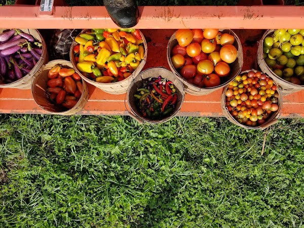 Harmony Fields Farm