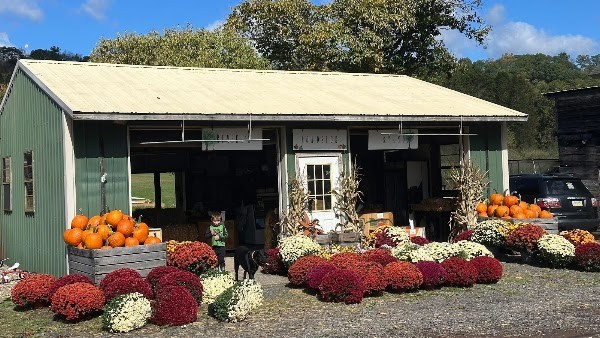 Rumbel’s Roadside Stand and Cider House