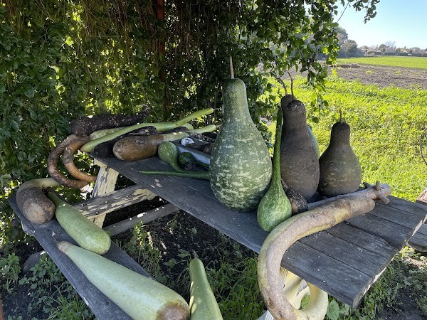 Farm Stand