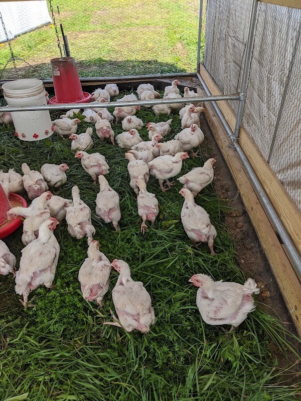 Four Mile River Farm