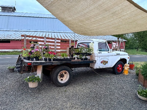 Tami's Farm Stand