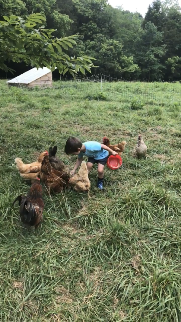 Jude Holler Farm, LLC
