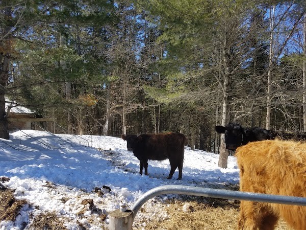 Tessiers Farm
