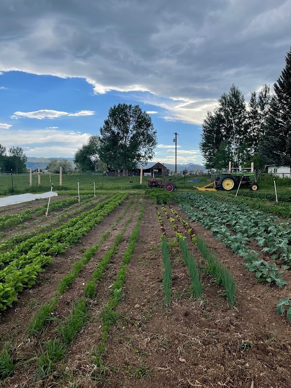 Second Street Farm