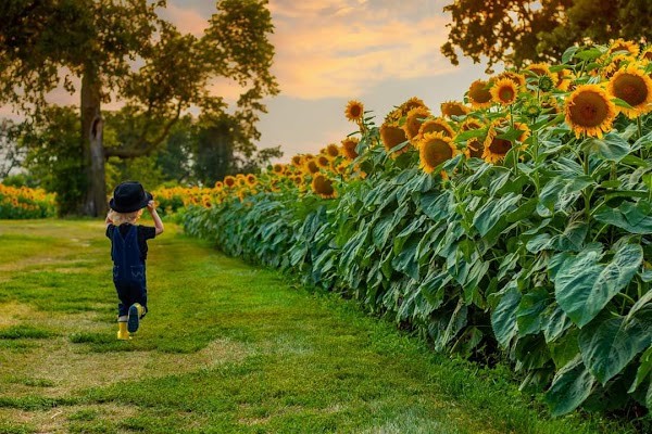 Rinehart's Family Farm