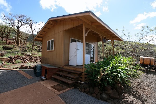 Lahaina Family Farms