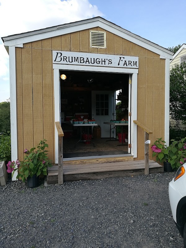 Brumbaugh's Farm