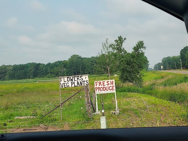 Benders Produce