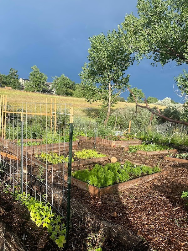 Ellson Farms