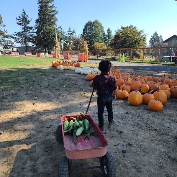 Willamette Valley Melon Co