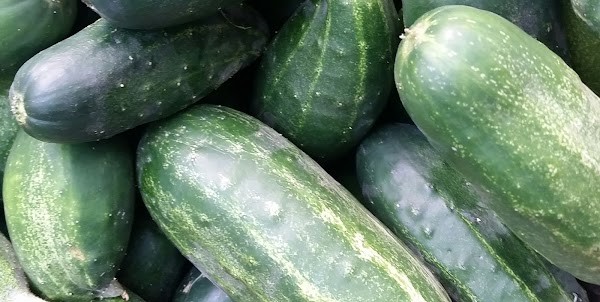 Picklebilly Farm