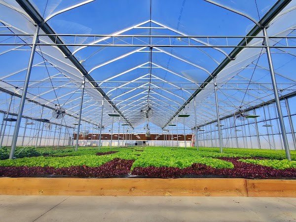 Greybull Valley Produce