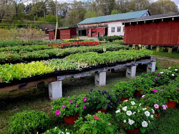 Wadsworth Farm