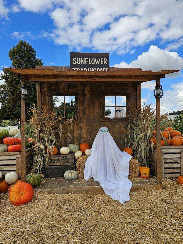 Sunflower Farm Stand