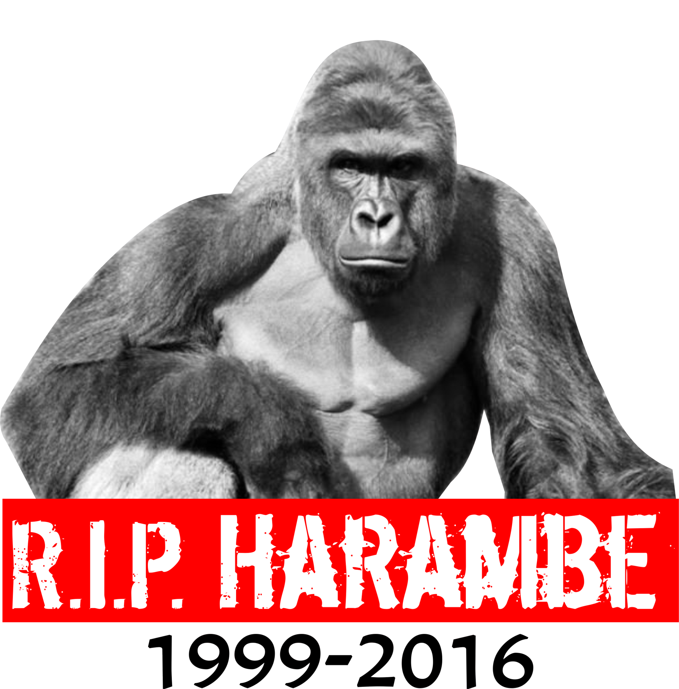 PMT Harambe T-shirt, rip Harambe Essential T-Shirt for Sale by