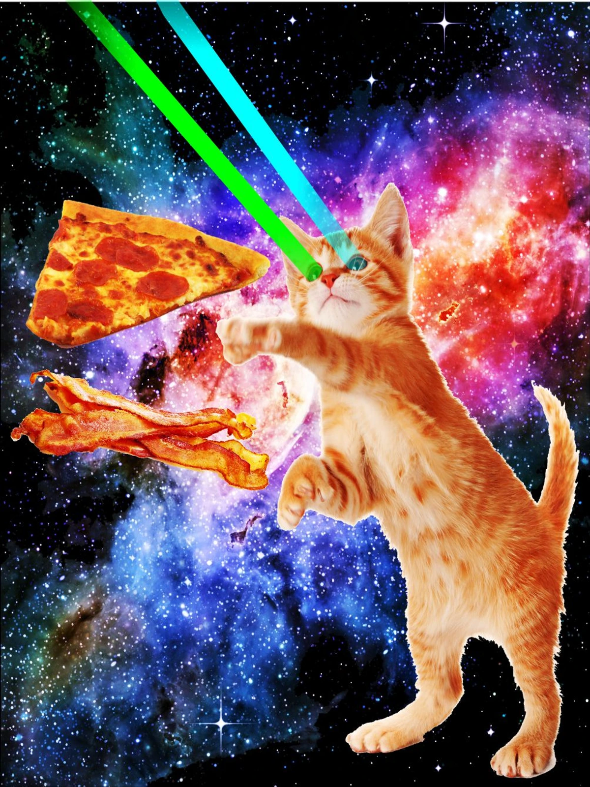 Laser Cat Space Pizza Bacon Poster