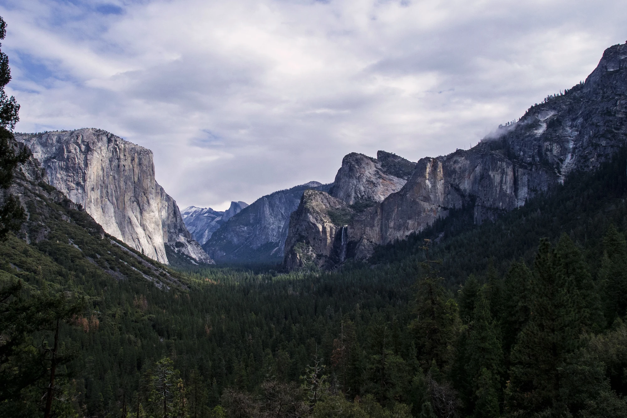 Yosemite Valley, with granite cliffs above a green forest
