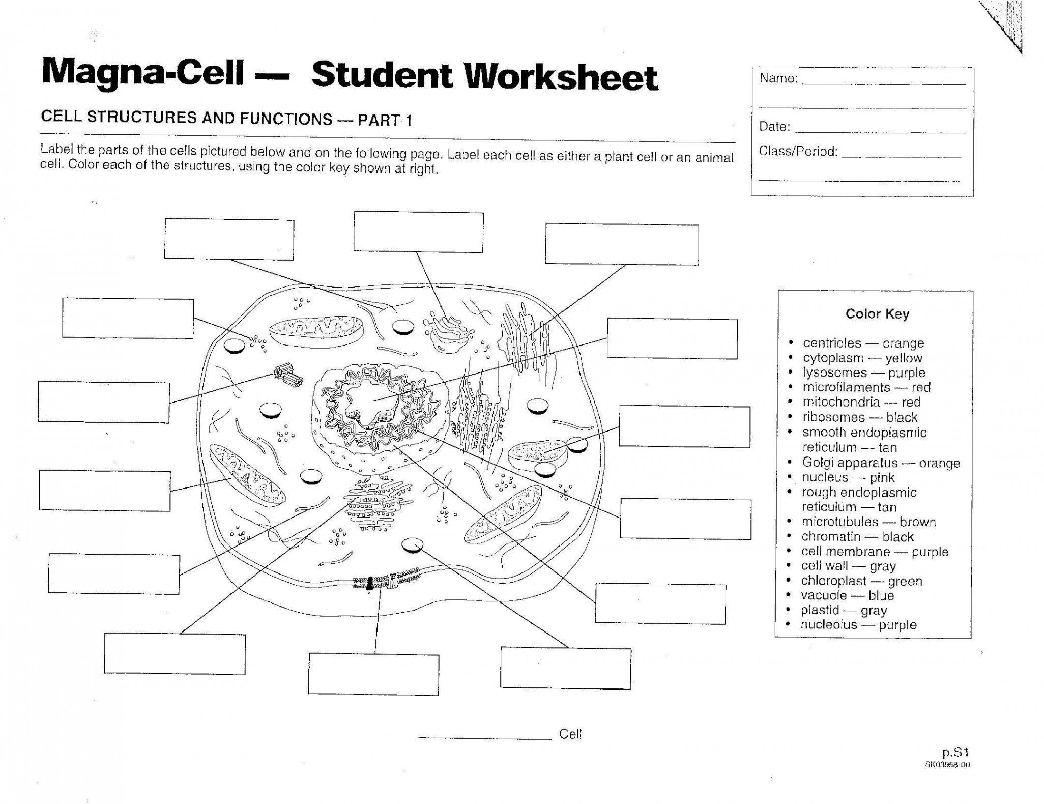 Chloroplast And Mitochondria Worksheet Answers - Worksheet ...