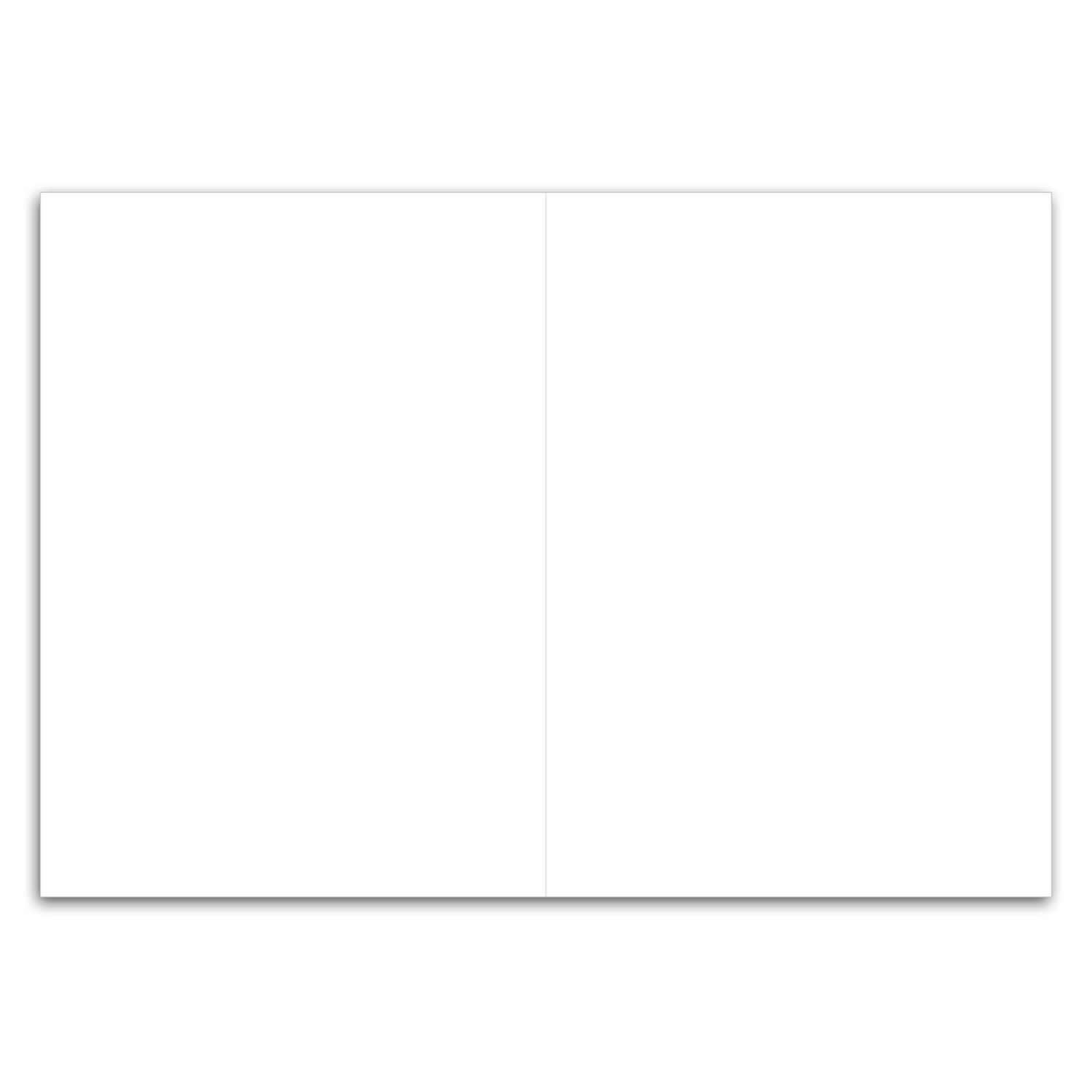 Bifold 5-3/4 x 8-1/4 Direct Mail Postcard 5