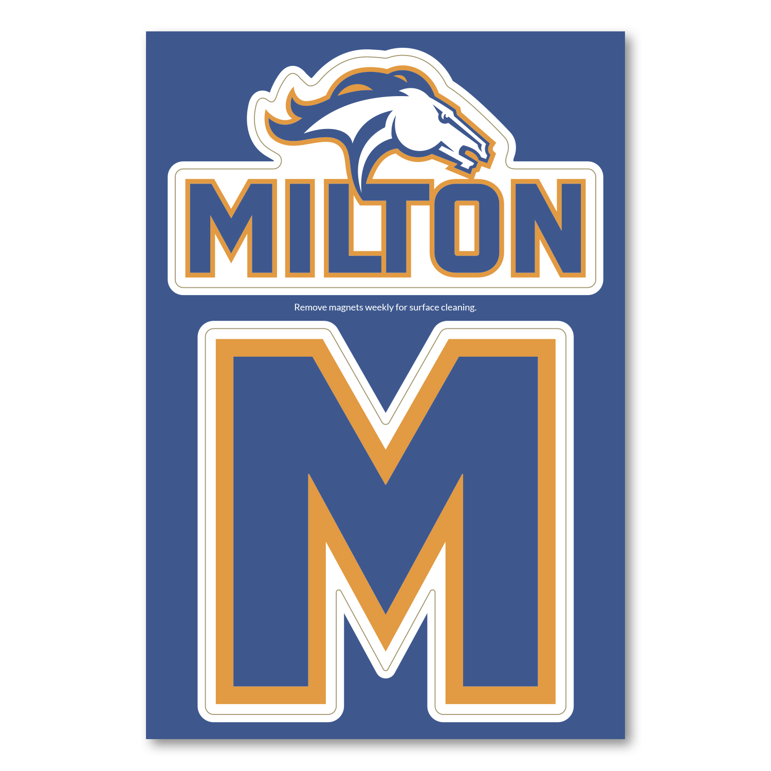 2-in-1 Car Magnet Custom 5.75 X 8.5 4