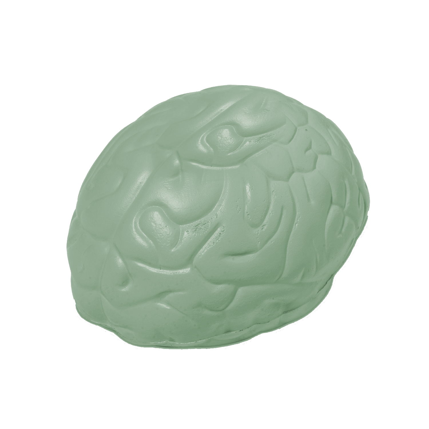 Brain Stress Ball | The Magnet Group