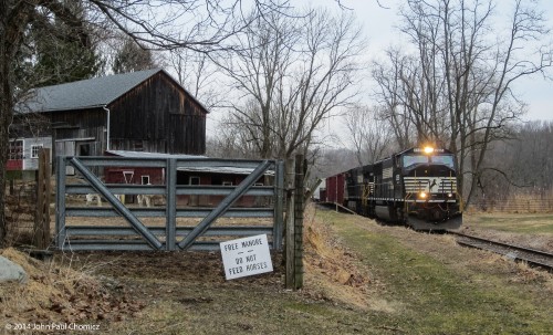 I obeyed the warning and neither the horses on the left, nor right, were fed.