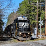 Through-the-Pine-Barrens-2