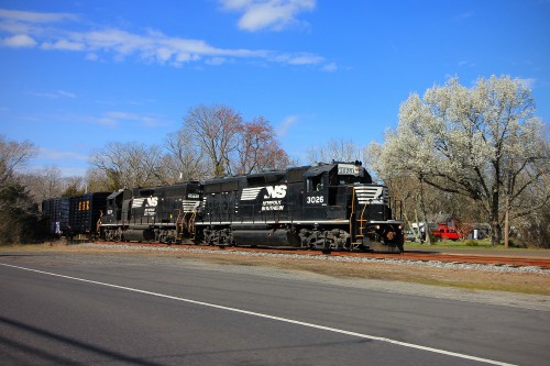 Pacing WPCA-51 past a pear tree along Tuckahoe Road in Estelle Manor