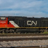 CN--5629