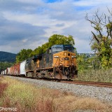 Early-Autumn-Mixed-Freight