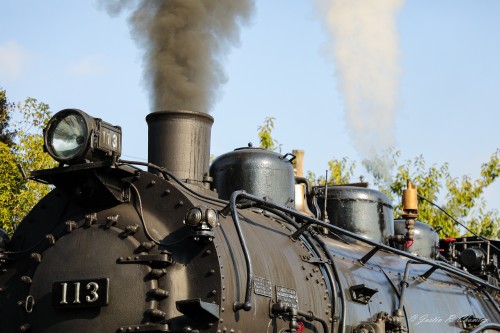 CNJ-ALCO-0-6-0-113-18.jpg